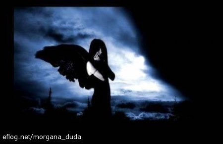 img82161_ocultos.jpg
